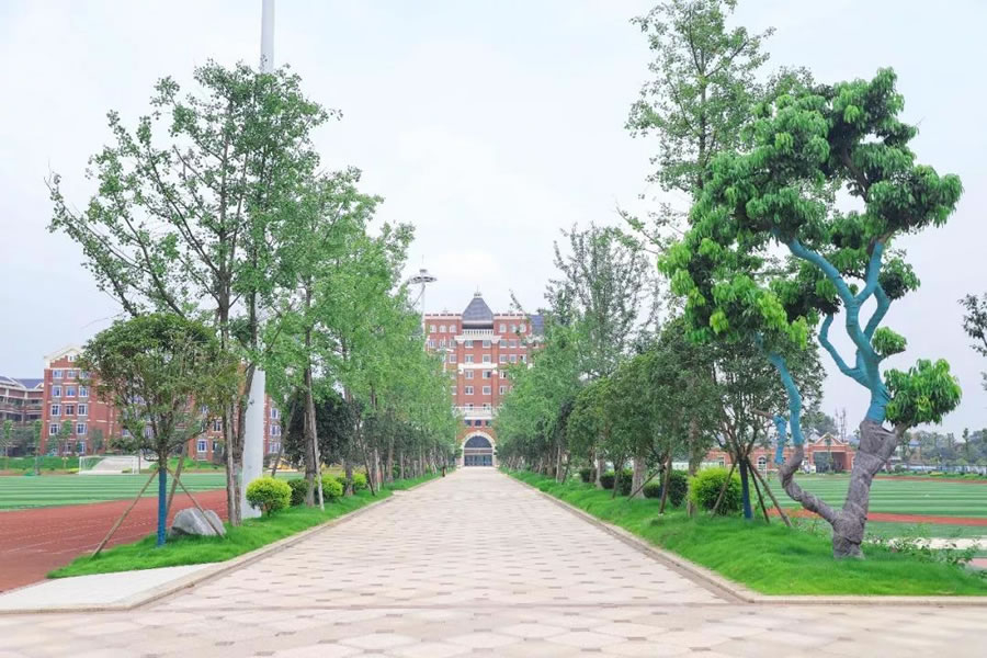 宜賓東辰國際學校
