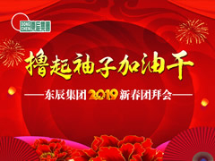 東辰集團2019新春團拜會網絡直播