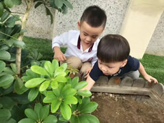獲得國際學前教育界高度肯定的“安吉游戲”，東辰的幼兒園是怎么做的？